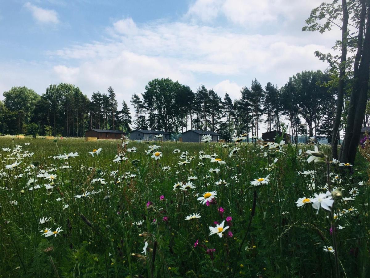 Hollicarrs - Wildflower Lodge York Exteriér fotografie