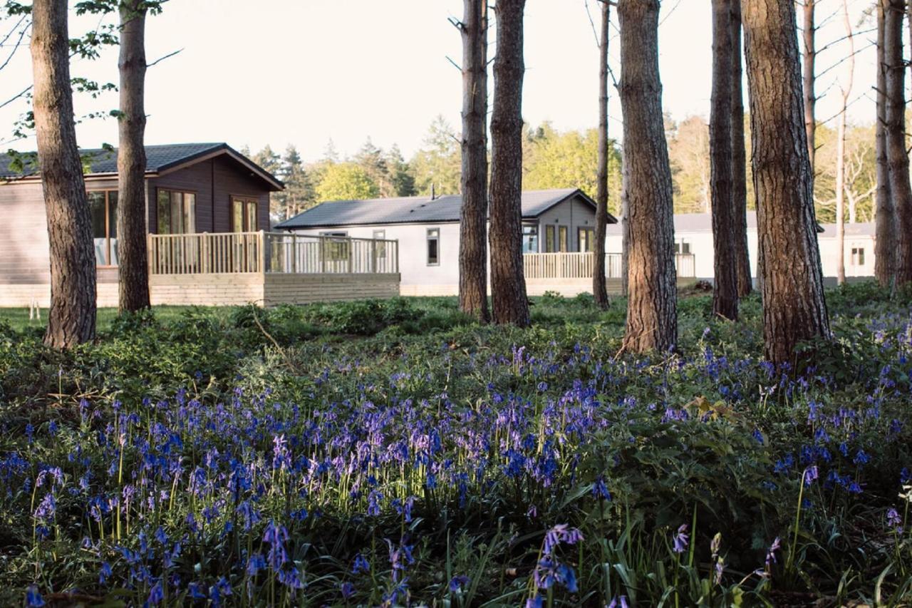 Hollicarrs - Wildflower Lodge York Exteriér fotografie