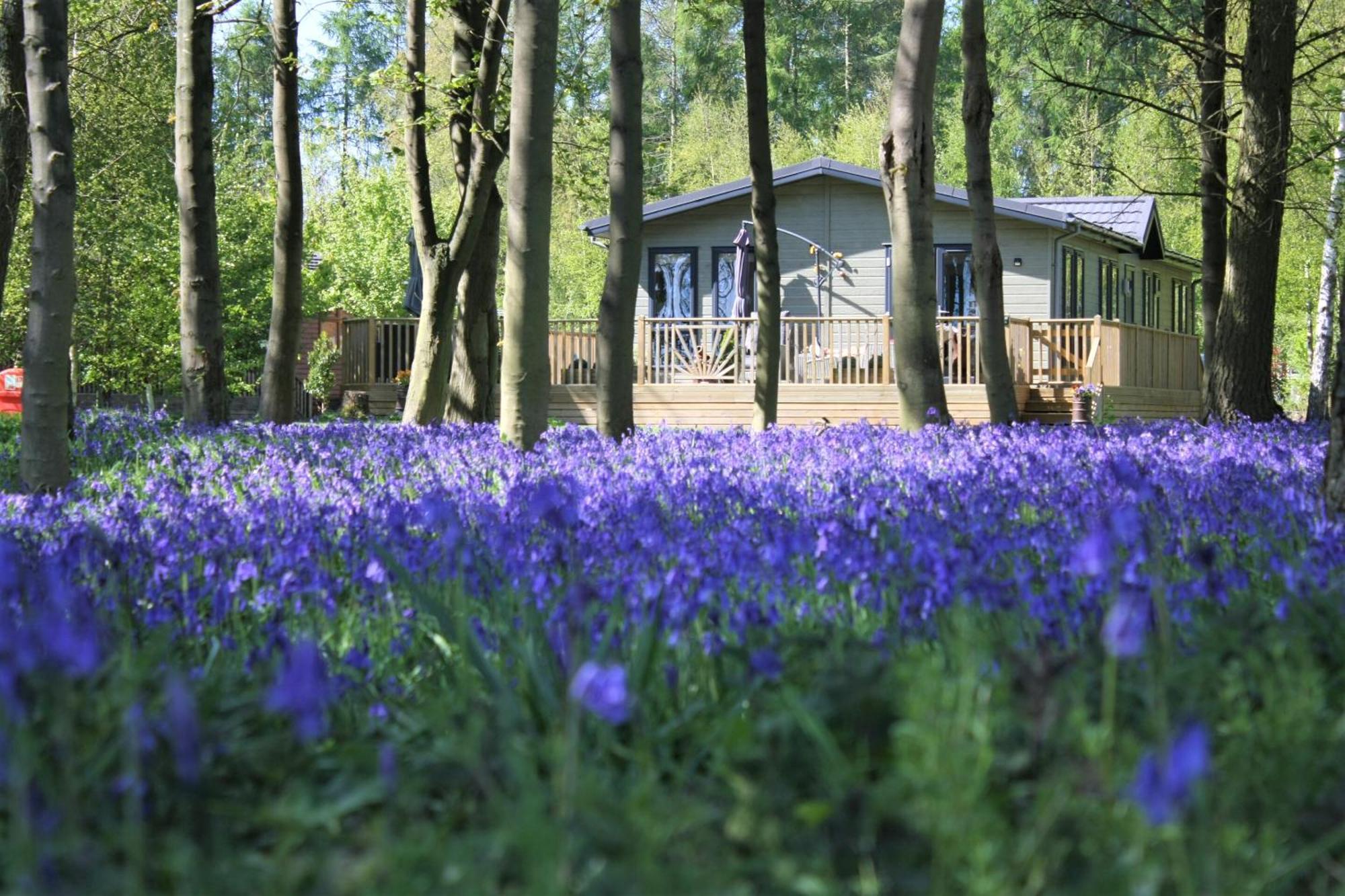 Hollicarrs - Wildflower Lodge York Exteriér fotografie