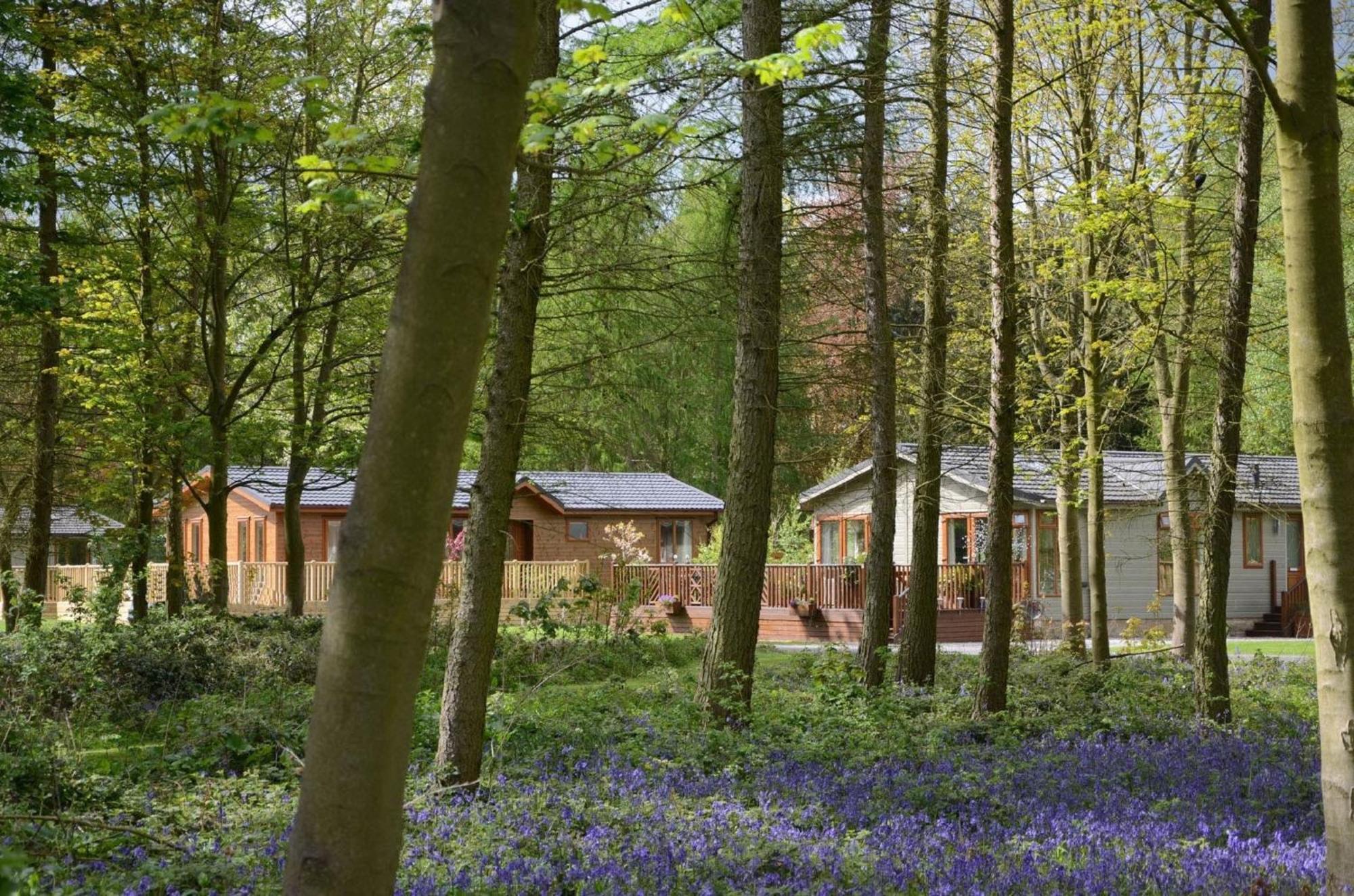 Hollicarrs - Wildflower Lodge York Exteriér fotografie